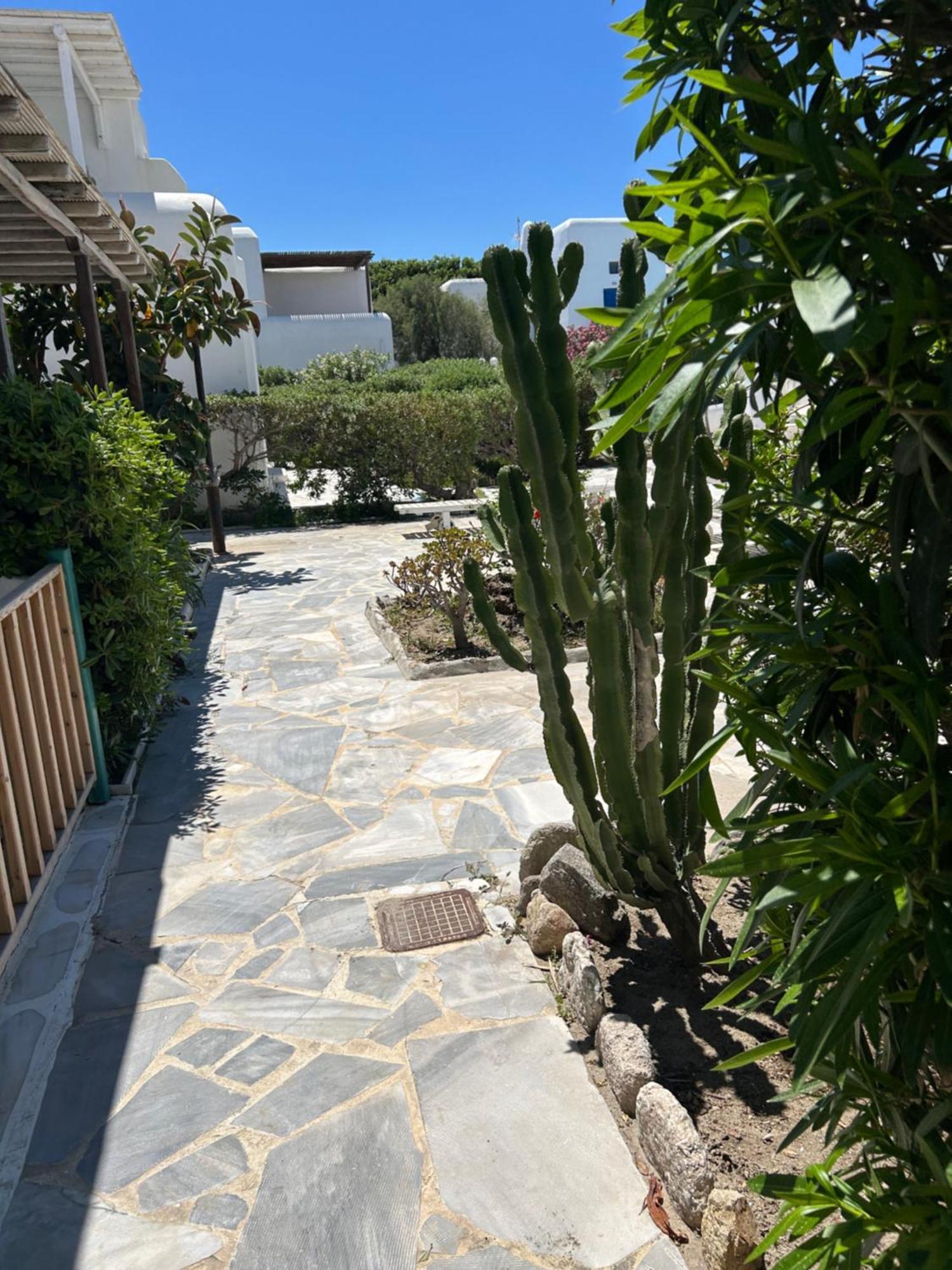Luxury House With Swimming Pool In Mykonos Villa Ornos (Mykonos)
